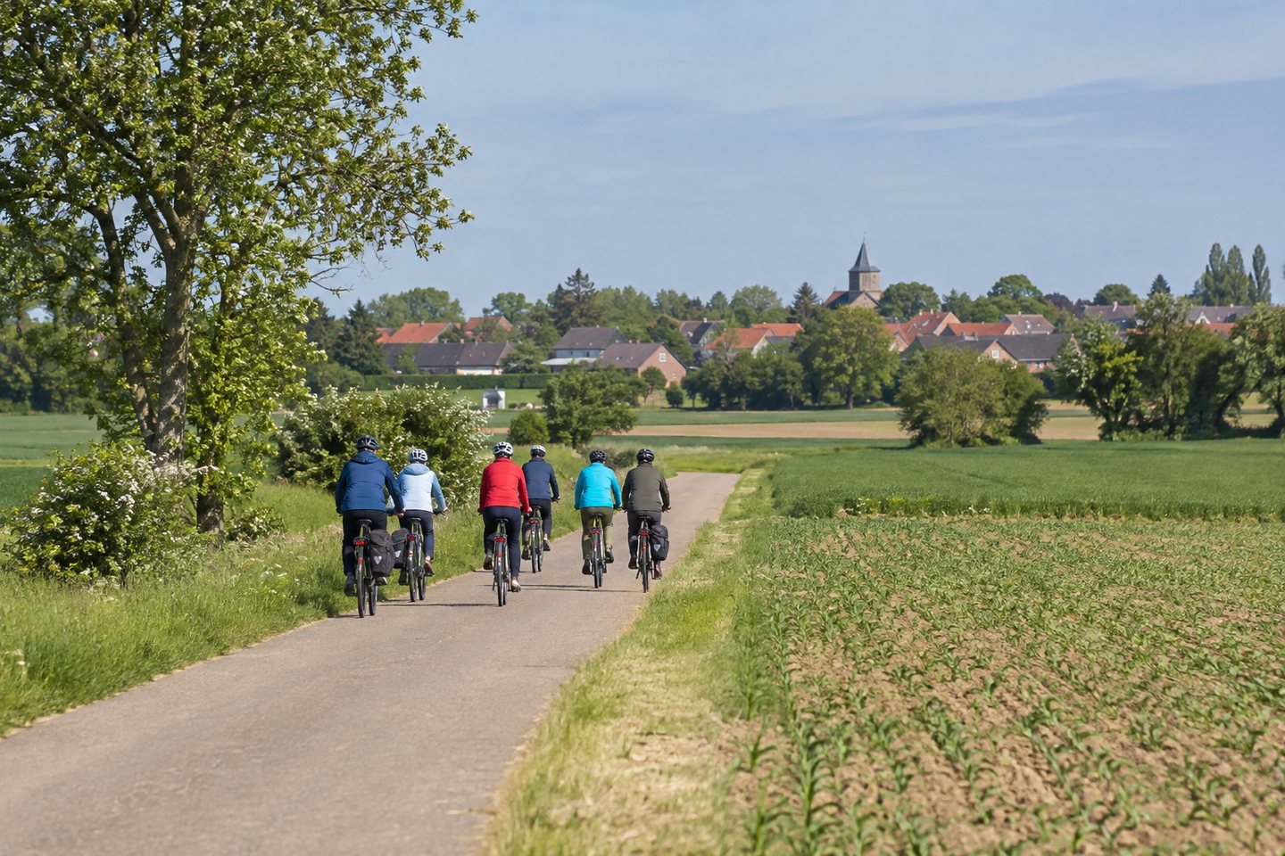 Symbolbild: Radfahrgruppe auf einem Feldweg in der flachen Erftstädter Bördelandschaft