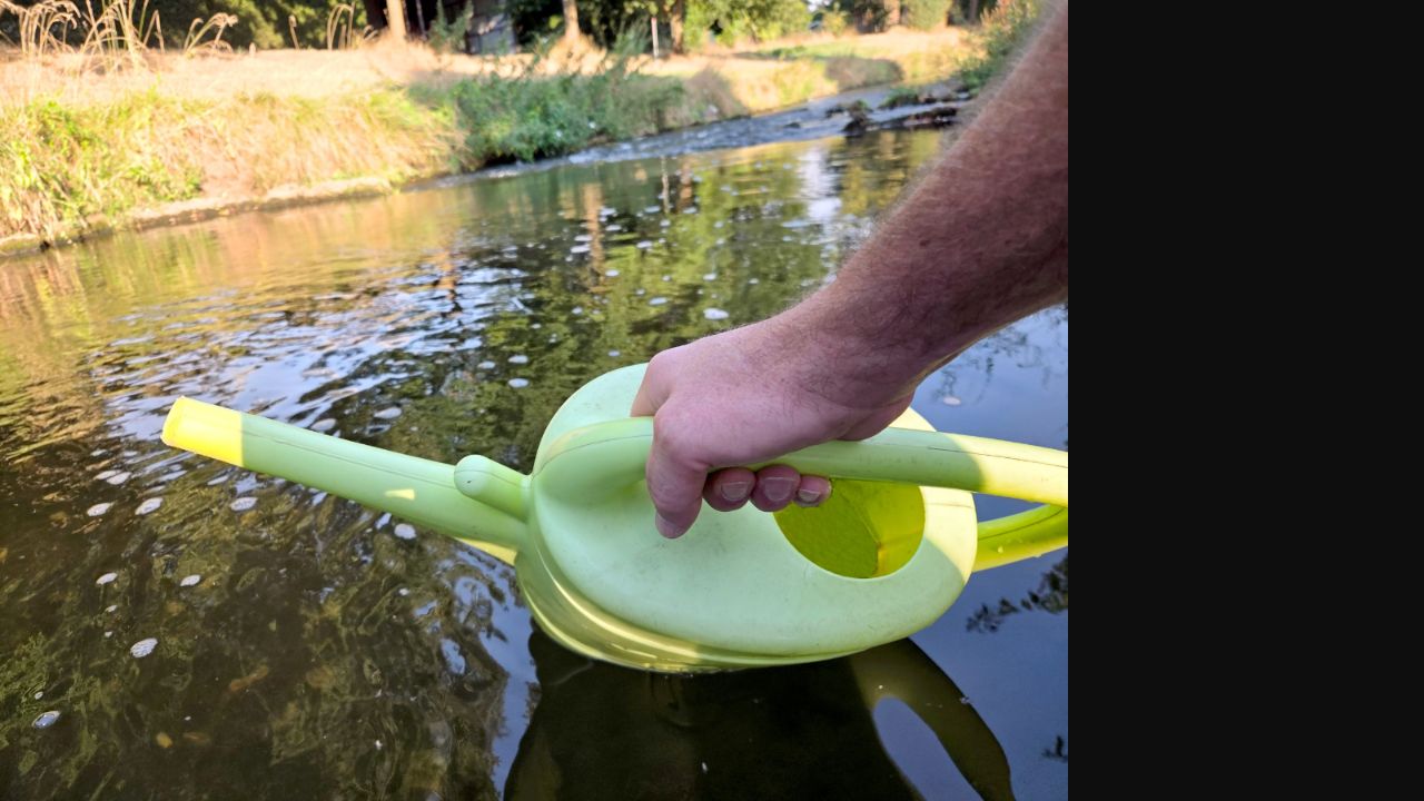 Niedriger Wasserstand in einem Fließgewässer im Rhein-Erft-Kreis